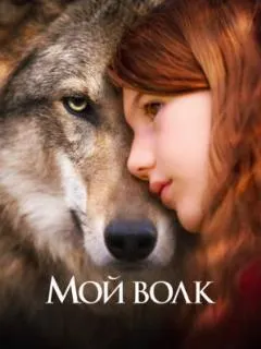 Мой волк